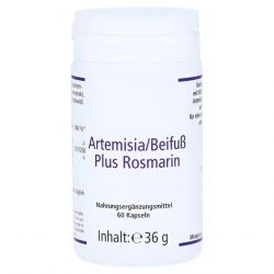 Артемизинин 150 мг капс. 60шт в Новом Уренгое и области фото