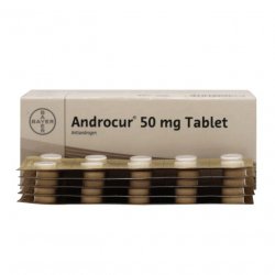 Андрокур (Ципротерон) таблетки 50мг №50 в Новом Уренгое и области фото
